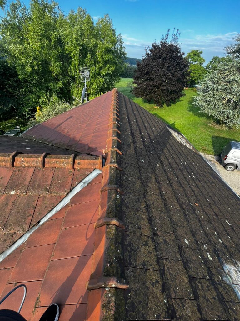 démoussage toiture à Salaise-sur-Sanne