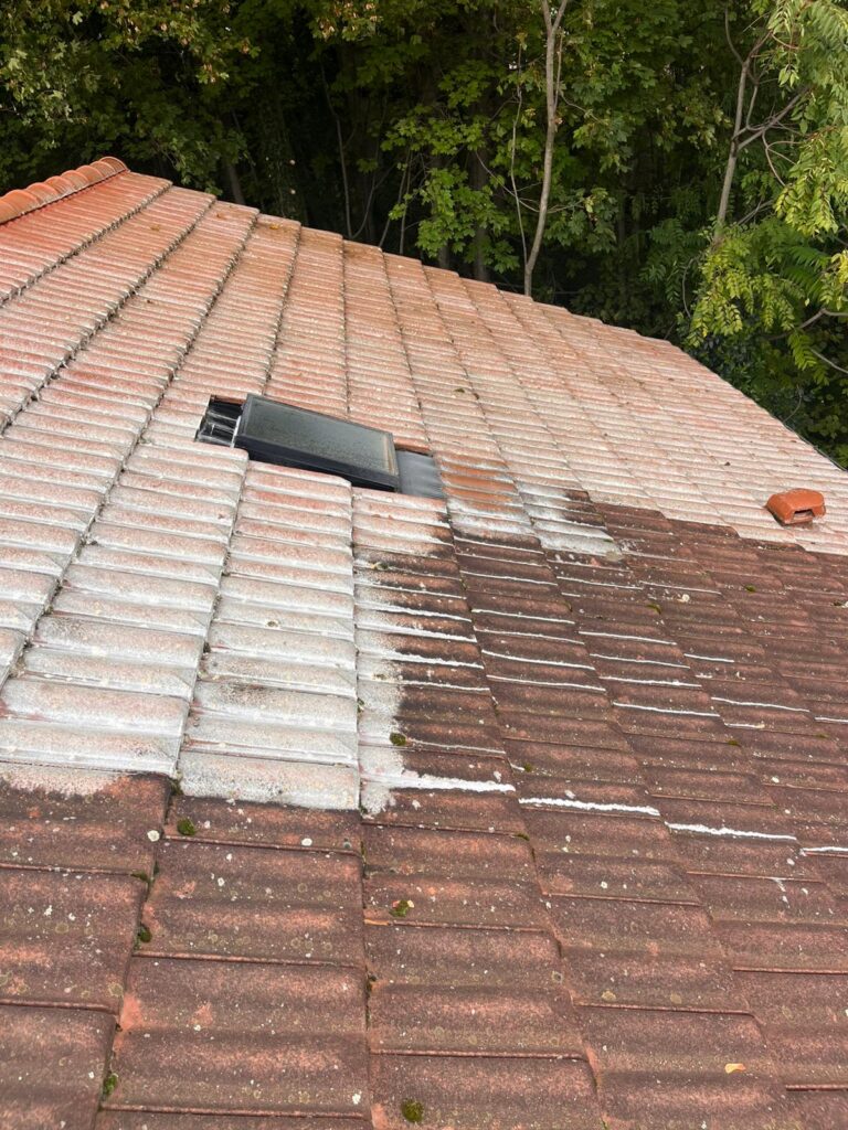 nettoyage et démoussage de toiture à Salaise-sur-Sanne (2)