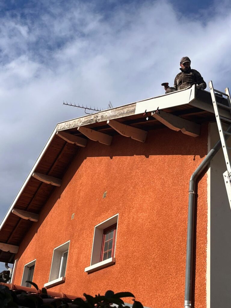 remplacement de planches de rives toiture Salaise-sur-sanne